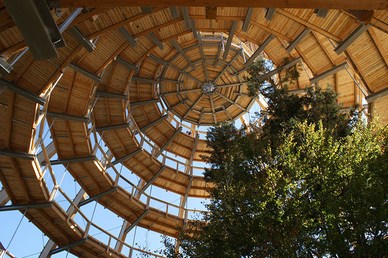 Illustration for article titled Germany's new 18-story Tree Top Walk is shaped like a giant egg